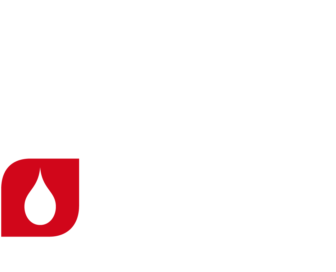 LifeStream